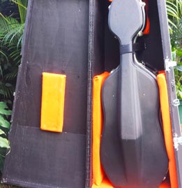 Single Cello Flight Case